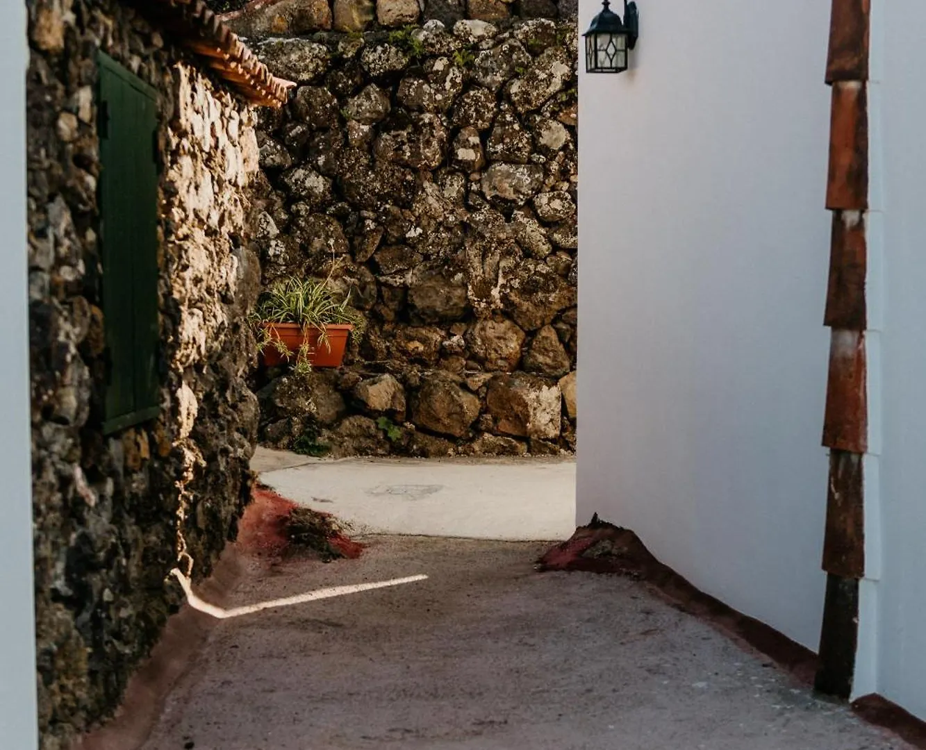 Casa Las Carballas Isabel Icod De Los Vinos Spain