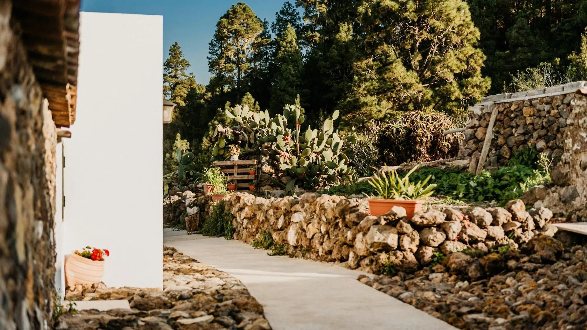 Casa Las Carballas Isabel Icod De Los Vinos Chalet