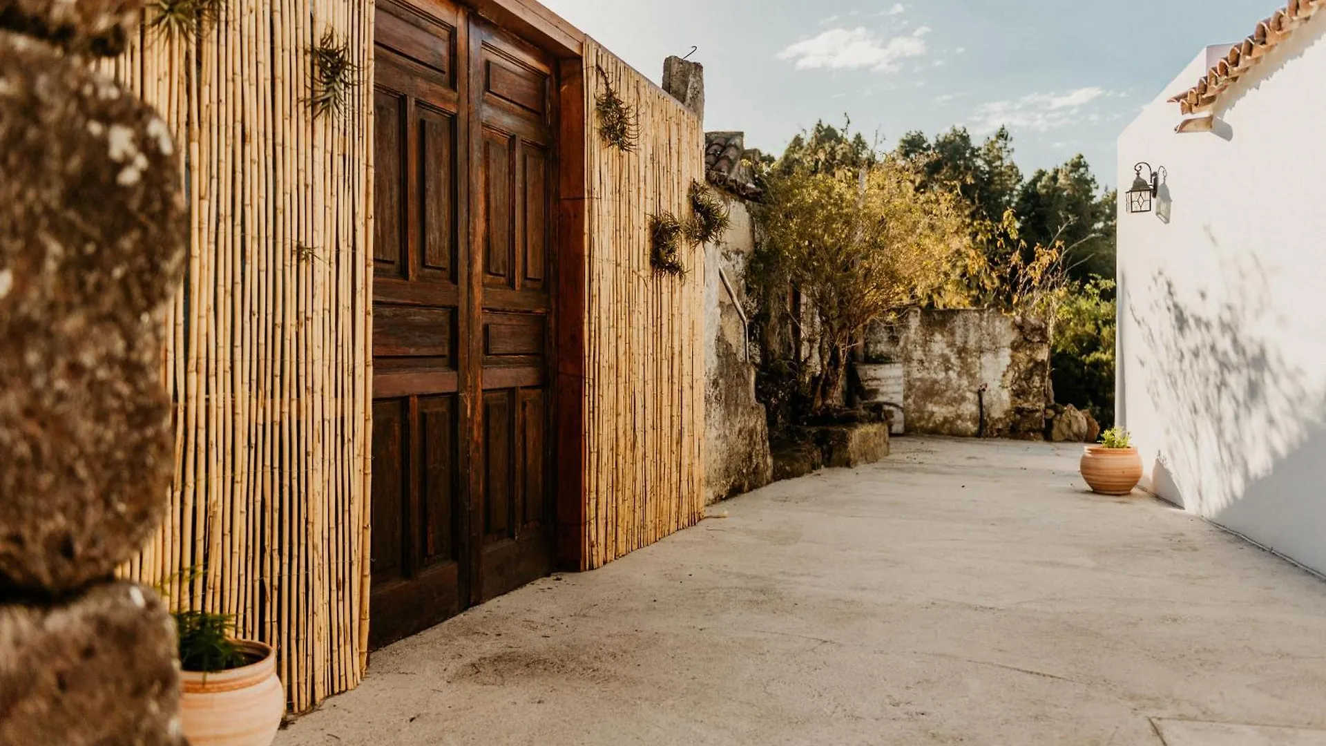 Casa Las Carballas Isabel Icod De Los Vinos Chalet