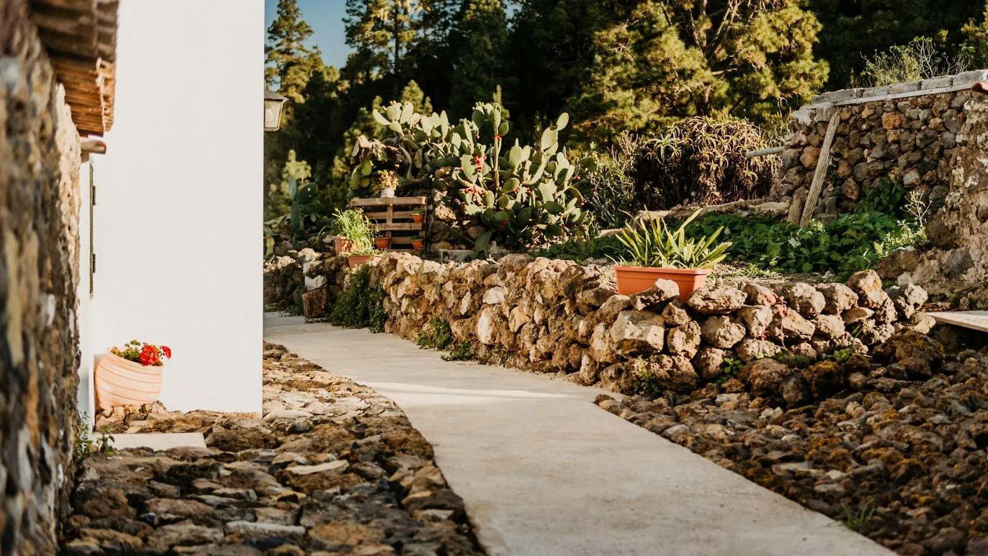 Chalet Casa Las Carballas Isabel Icod De Los Vinos Spain